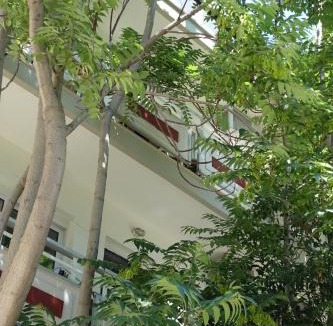 Kos Town Apartment | Bristol Apartments
