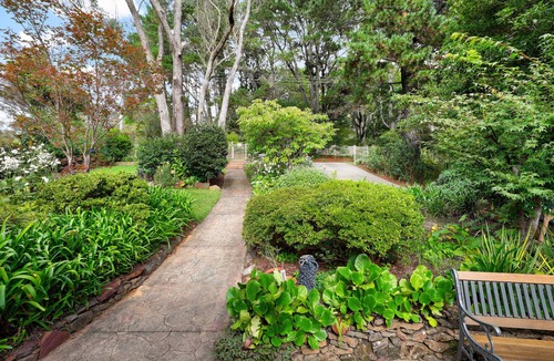 Wentworth Falls Cottage | Camellia Cottage. Quiet, Dog Friendly Haven.