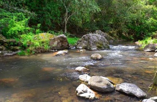 Toms Creek Other | Camping ∙ 1 bedroom ∙ 4 guests