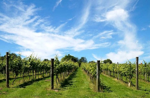 Bellarine Other | Camping ∙ 1 bedroom ∙ 4 guests