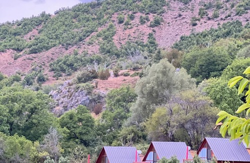Korce Cabin | Camping, Nature, Hiking, Horse, Organic Food