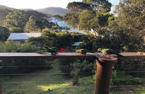 Depot Beach House | Carr Street Murramurang National Park