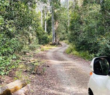 Salisbury House | Cedar Lodge - Barrington Tops Salisbury