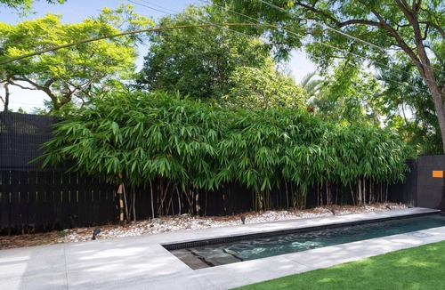 Fairfield House | Character home/outdoor pool-5 minutes to Southbank