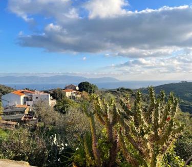 Kithira House | Circadia