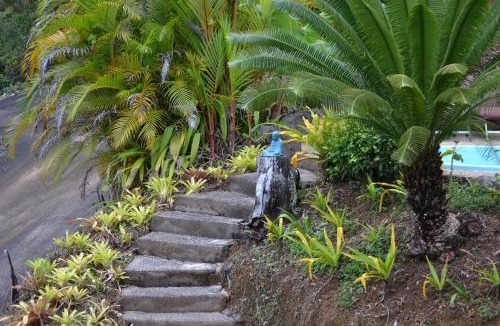 Daintree House | Cloud 9