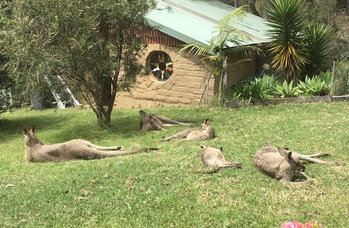 Tanja Cottage | Cosy mud brick cottage in a serene bush setting, near Tathra.