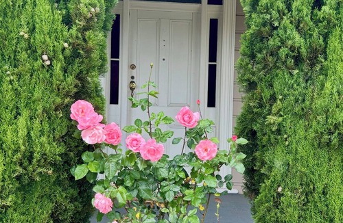 Invermay Cottage | Crystal Cottage, Netflix, Close to HAWKS & city