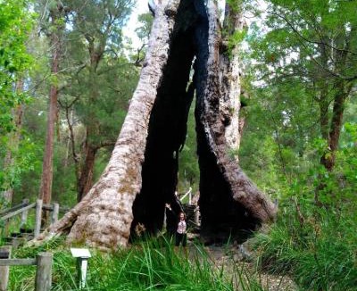 North Walpole House | Crystal Springs Holiday Accommodation