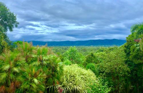 Forest Creek Bed & Breakfast | Daintree Manor B&B