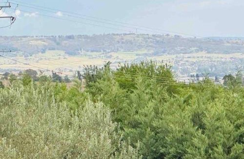 Raglan Villa | Dhanda Farm Bathurst
