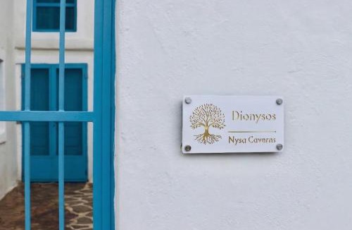 Exo Gonia Villa | Dionysos Cave Villa with Plunge Pool Near Wineries