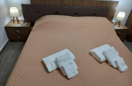 Andros Town Apartment | Dipotamata House SynetI