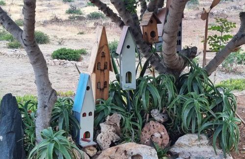 Elafonisos Bed & Breakfast | Domatia me Thea