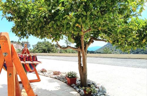 Kefalos Apartment | Eirini