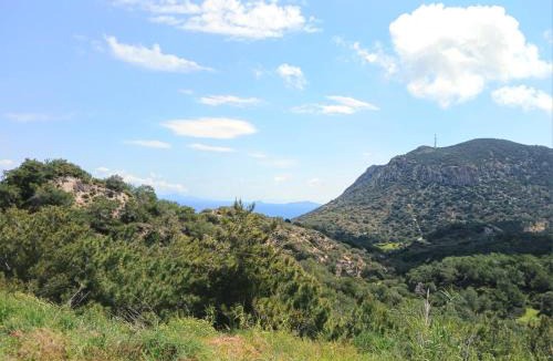 Kefalos Apartment | Eirini