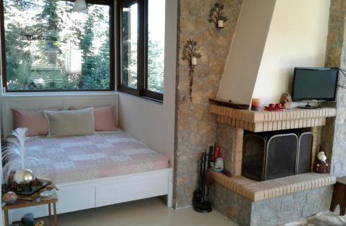 Mesaia Trikala Apartment | Elatos cozy Studio