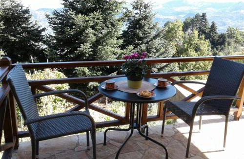 Mesaia Trikala Apartment | Elatos cozy Studio
