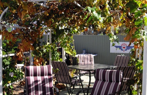Broken Hill Cottage | ELLA'S PLACE - CHARMING MINER'S HERITAGE COTTAGE