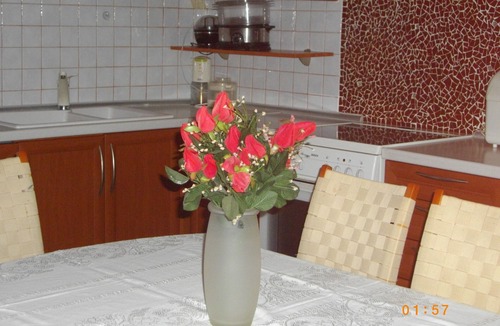 Oraiokastro House | ENTIRE INDEPENDENT AP/NT"Sweet Home"inThes/niki.Fireplace,A/C,BBQ,Garden,Parking