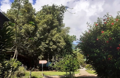 Teahupoo House | Fare Ora in a wooded park of 15,000 m2