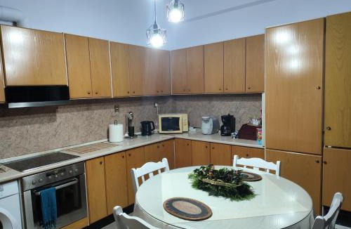 Ano Lechonia Apartment | Fotini's Paradise