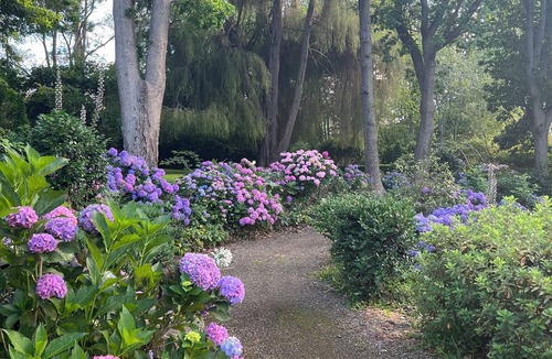 Tilba Tilba Cottage | Foxglove Luxury accommodation stay. Tranquil retreat in Tilba Tilba