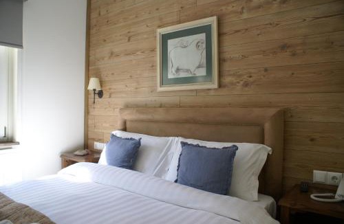 Aristi Hotel | Gamila Rocks Mountain Hotel