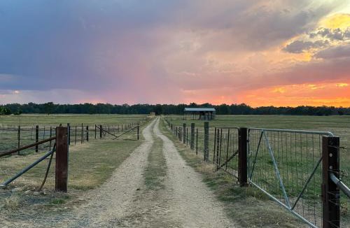 East Wangaratta Other | Glamping at Beltie Park