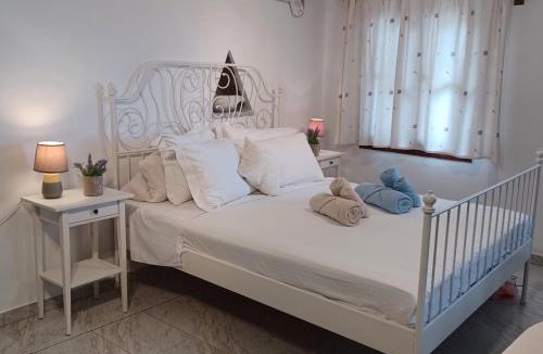 Agios Romanos House | Grandpa Simos' Traditional Guest House (B)