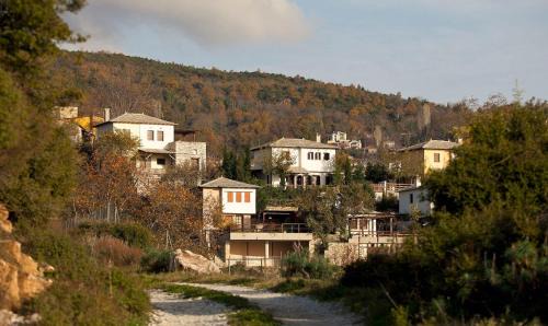 Agios Vlassios Villa | Great Pelion Villa Villa Thalia Private Pool 3 Bedrooms