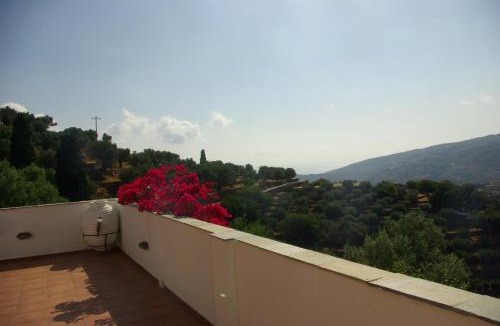 Andros Town House | Green Oasis