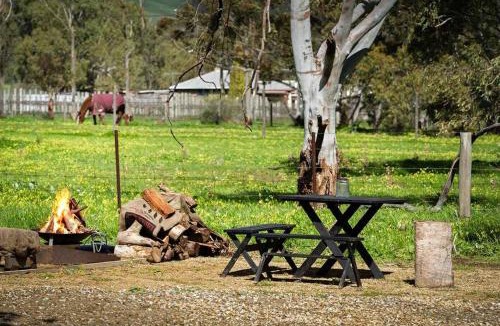 Willunga South House | Grove at Peasant Farm by Tiny Away