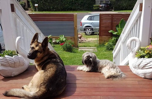 Pambula Beach House | *Hamptons on PB* 100% Petfriendly Family Beach House Pambula Beach, NSW ⛱️