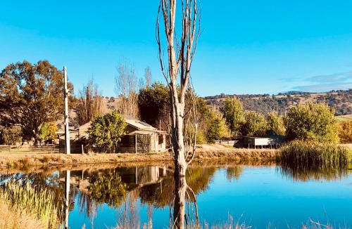 Bridge Creek House | Hillview Cottage