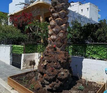 Ierapetra Apartment | Homy seaside studio Quiet stay near center