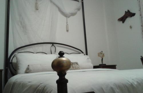 Milies Hotel | Hotel Dryalos