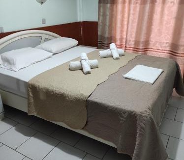 Edessa Hotel | Hotel Elena