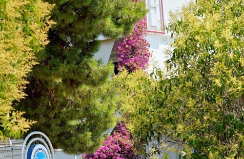 Nees Pagases Hotel | Hotel Kalloni
