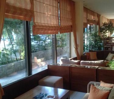 Lefkandi Hotel | Hotel Lefkadi