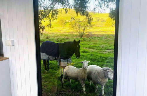 Gundagai House | House ∙ 1 bedroom ∙ 2 guests