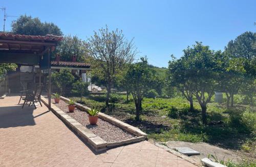 Kalamoti Apartment | House Garden in Kalamoti