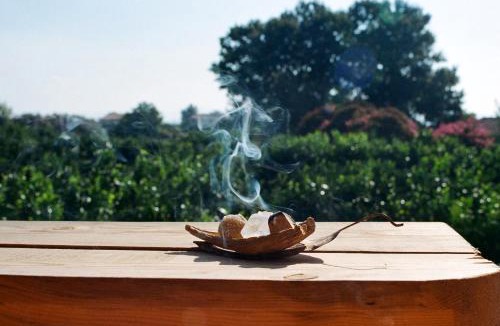 Gastouni House | Irene's Treehouse