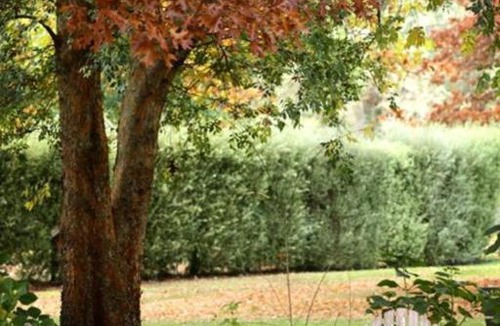 Jamieson Apartment | Jamieson Cottages by the River 3