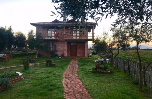 Fier House | Juniperus Village House
