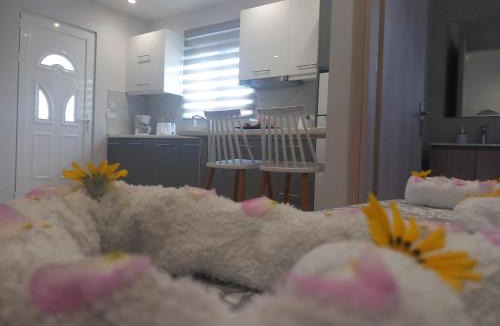 Kolymbia Apartment | Kolymbia summer holidays