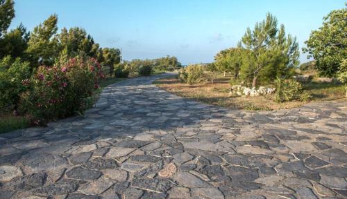 Vigla Apartment | Kouremenos Beach House West