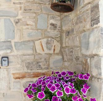 Pitsidia House | Kritikies 1 Kydonia