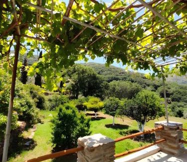 Arnas House | Ktima Kariofillis
