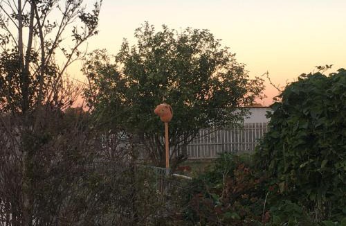 Lara House | Lara Hobby Horse Centre of Excellence